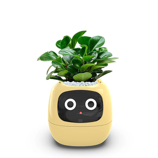 Smart Flower Pot